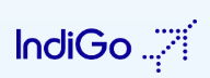 Indigo flights