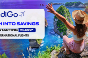 IndiGo International Flight Booking