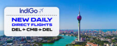 IndiGo Airlines International Flight Booking to Colombo