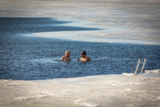 Ice Swimming in Finland: A Winter Tradition That Boosts the Brain and Body